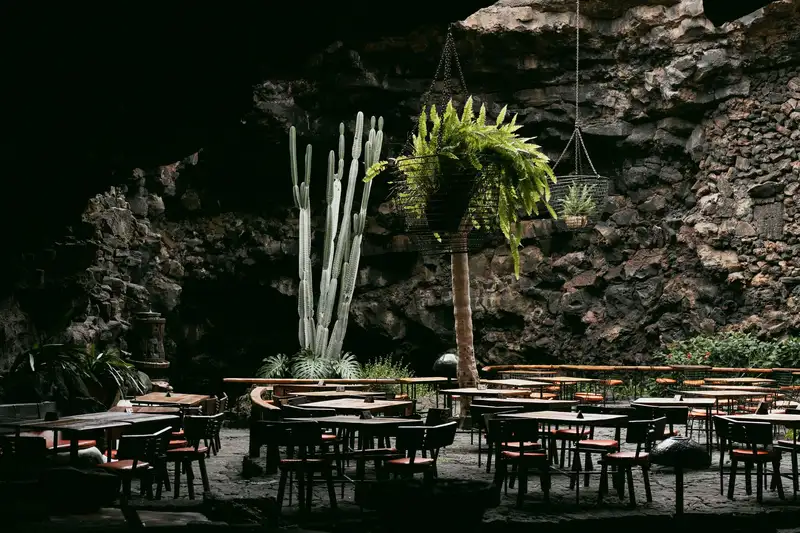 Unique cafe interior in a cave setting with cactus and hanging plants, creating a natural ambiance.